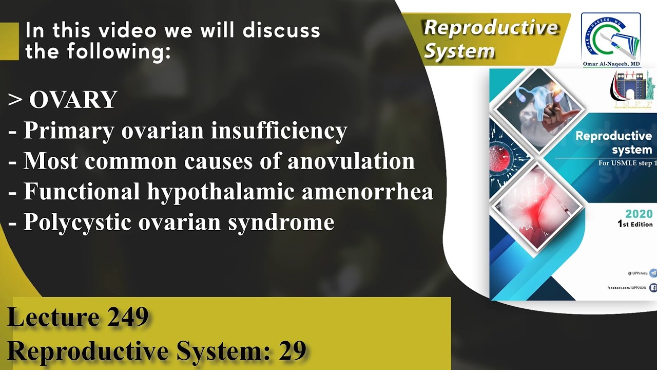 Primary ovarian insufficiency | Functional hypothalamic amenorrhea | Polycystic ovarian syndrome