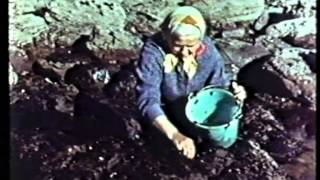 Pembrokeshire Pembs Dyfed 1958 Promotional Video made by Esso Refinery
