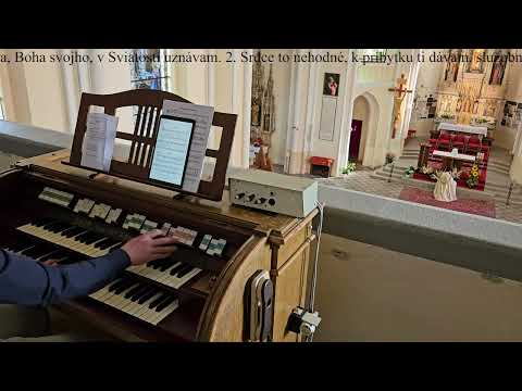 JKS 320 - Na kolená padám (Mariánska hora v Levoči)