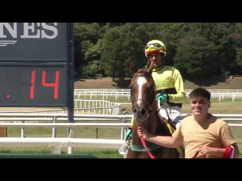 230205 c01 VANCOUVER HLM