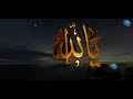 দিওয়ানা করেছে আমায় | Diwana Koreche Amay | islamic song | Sufi Song |2021| Shahidul Alam Sachchu