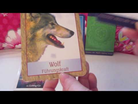 Engel Orakel der Woche vom 12. bis 18. Dezember 2016