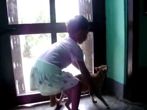 Tina Bhanji   Vs  Myaoooooooooo