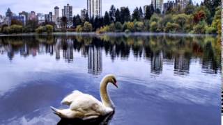 i will always love you, richard clayderman and francis goya