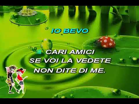 Live👌Calice amaro - Bagutti (Voce + Testo)