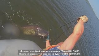 Ловля на перемет законность