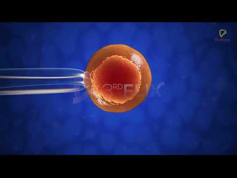 Practically's Concepts - Fertilisation - #LearnPractically