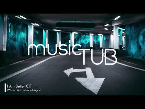 I Am Better Off (Hallman Remix) - Wildson feat. Hallman [House Music]