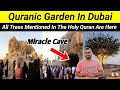 Quran Garden In Dubai Miracle Cave All Trees Mentioned In The Quran Quranic Garden Dubai