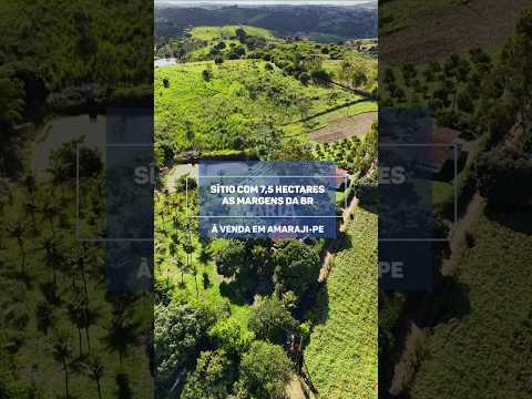 SÍTIO COM 7,5 HECTARES À VENDA EM AMARAJI-PE #imovelavenda