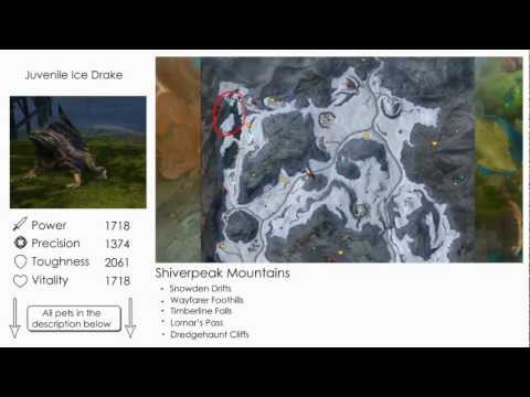 Guild Wars 2 - Ranger Pets Location Guide