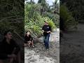 #timelapse start to finish alone build log cabin ( how to build wooden cabin surviva