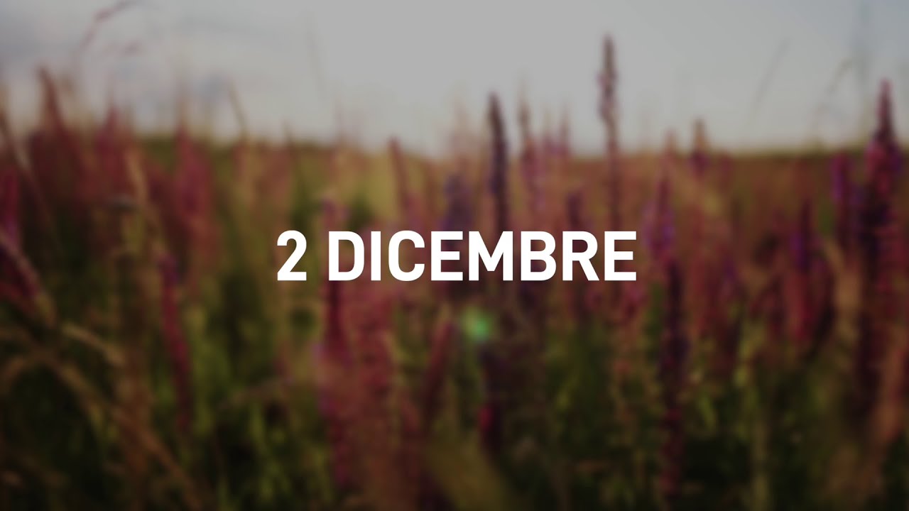 2 Dicembre 2025 | Meditazione Parole di Vita