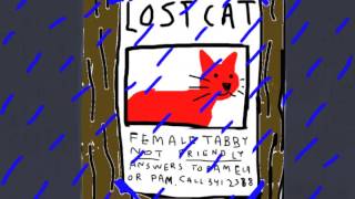 Advance Base - "Our Cat" (OFFICIAL VIDEO)