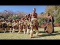Experience The Vibrant Energy Of Traditional Zulu Dance