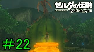 【実況】見落としが多い勇者の冒険part22【ブレスオブザワイルド】