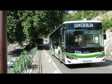 [Sillages] Anadolu Isuzu Citiport (Moventis)