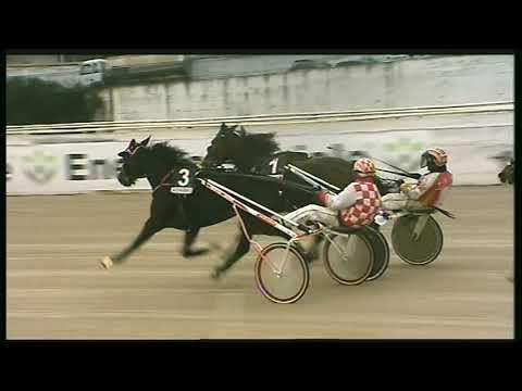 Trotto 20/11/2020 - 5ª corsa