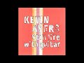 KEVIN AYERS - 09 Don't Blame Them