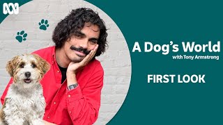 A Dog's World with Tony Armstrong | First Look