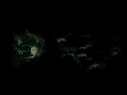 W.A.M ft. Enero Faust - Trzymamy się (Track 10)