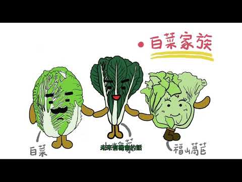 有機蔬菜產地到餐桌(第十集：有機營養午餐，出發囉)