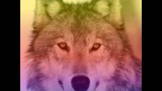 CMC - The Story Of Who I Am