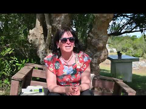 LARREGUI - CERRO PELADO - LAVALLEJA - BLOQUE 1 SABADO 17 Y DOMINGO 18 DE ENERO DE 2026