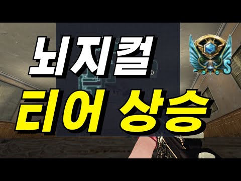 뇌지컬 티어 상승
