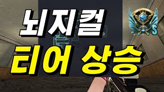 뇌지컬 티어 상승