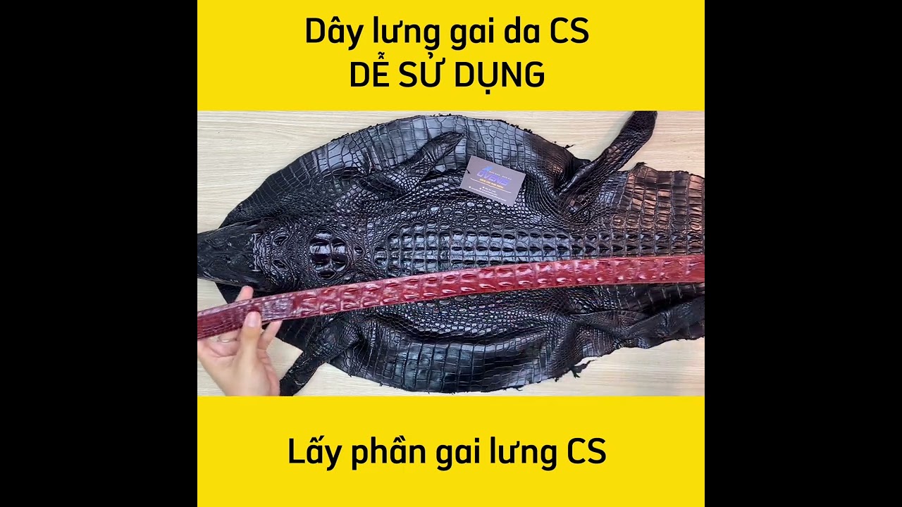 Dây Thắt Lưng Da Cá Sấu Thật TS110