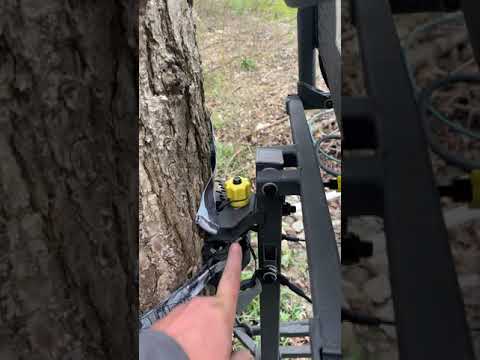 Hawk cruzr stand, not a fan