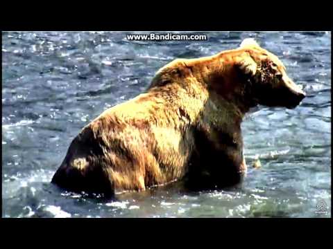 480 Otis The unique and master of Zen July 12.2017