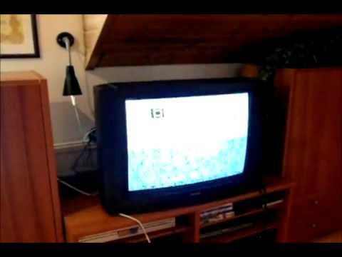 Bangsinn / STUTTMYND