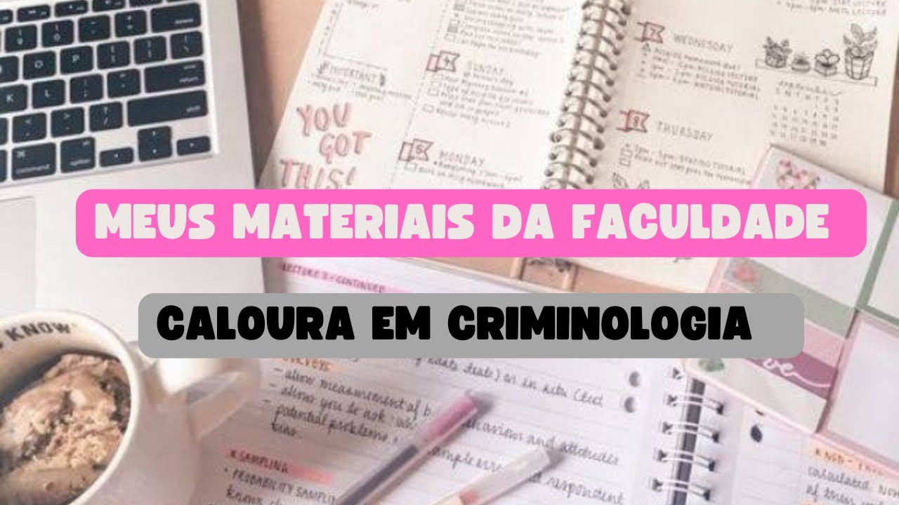 CALOURA EM CRIMINOLOGIA | MEUS MATERIAIS QUE COMPREI NA SHOPPE !!