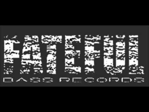 Hoffman ‎-- A Fucking Crazy Damage