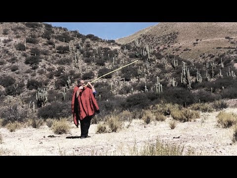 THE VICTORY OF SUIPACHA