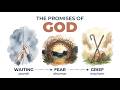 The Promises Of God What The Original Hebrew Actually Reveals