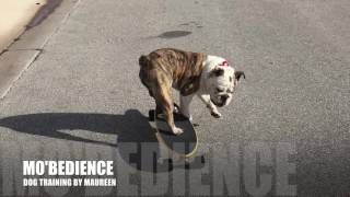 1-year-old "Otis" skateboarding