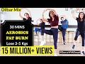 DWD 89 Burn Arm Leg Belly Fat 30mins Aerobics Workout Dilbar Mix Dancewithdeepti