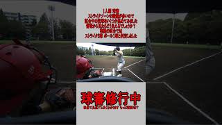 球審 投球判定動画  #野球  #審判