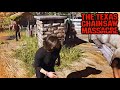 Danny Virginia Julie & Ana EPIC Gameplay | The Texas Chainsaw Massacre [No Commentary🔇]