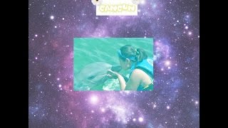 Swimming with Dolphins (Moon Palace, Cancun Mexico 07/2014)