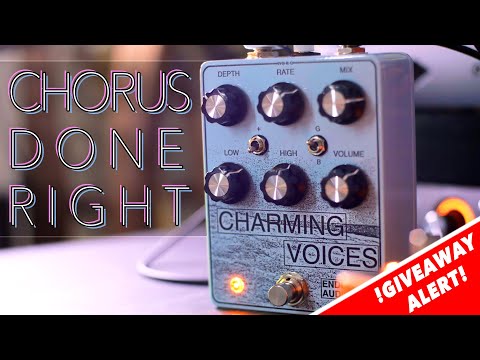 Enduring Audio Charming Voices (modified CE-2) image 4