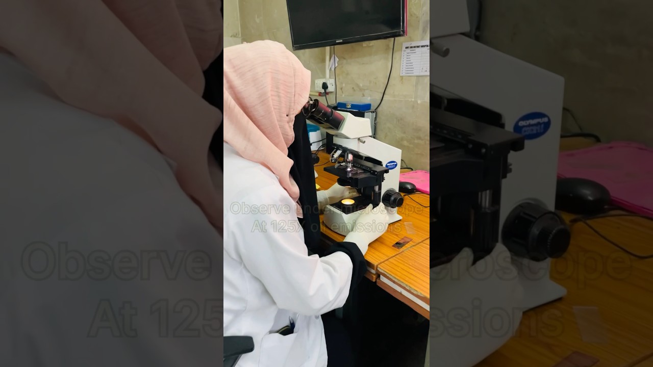 Peripheral Blood Smear Examination #PBF # Microscopy # Pathology # DMLT # BMLT # MLT STUDY