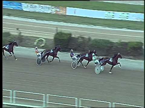 Trotto 13/09/2015 - 5° corsa