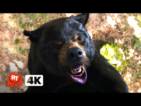 Cocaine Bear (2023) 4K - Eaten Alive Up a Tree! | Movieclips