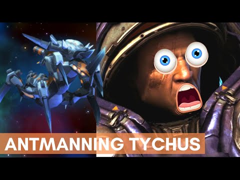 50% CDR FOCUS STRIKE ALGORITHM PUTS TYCHUS TO SLEEP - Weekly Brawl [Starcraft 2 Direct Strike]