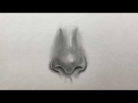 Drawing for Beginners Step by Step | Day 011 Part 1 | Basic Pencil Shading Technique Part 1