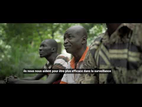 Protection des forêts au Burkina Faso